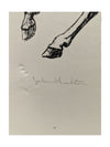 Lament for the Death of a Matador John Fulton (6 signed Lithographs)