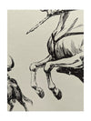 Lament for the Death of a Matador John Fulton (6 signed Lithographs)