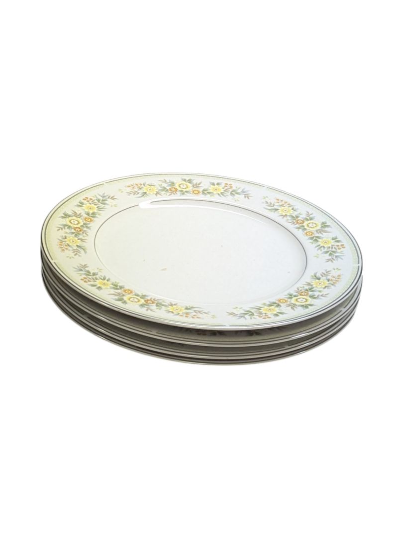 Berkeley House Fine China Capistrano 20 pc Set