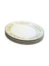 Berkeley House Fine China Capistrano 20 pc Set