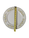 Berkeley House Fine China Capistrano 20 pc Set
