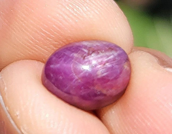 $8,250 Appraisal - 5.5 ct Cert. Red Star Ruby gemstone