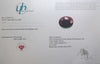 $9,900 Appraisal - 8.3 ct Cert. Untreated Ruby gemstone