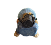Teddy Bear in Blue hat with Flowers