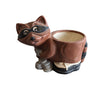 Raccoon Flower Pot