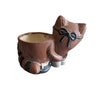 Raccoon Flower Pot