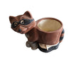 Raccoon Flower Pot