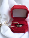 Titanium Ring