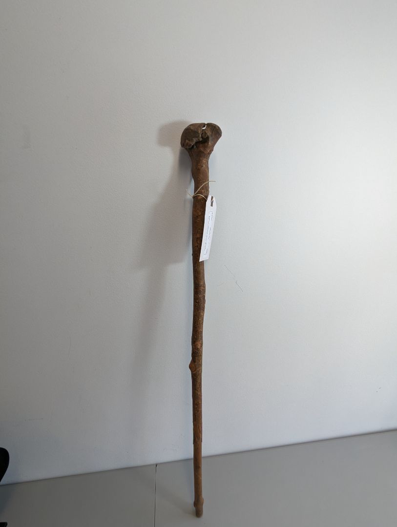 Vintage Cane Wooden Carved