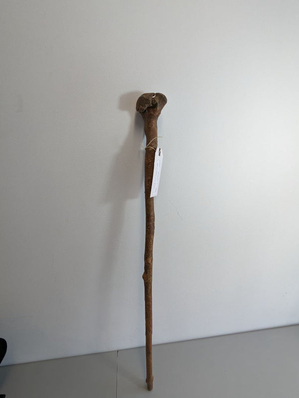 Vintage Cane Wooden Carved