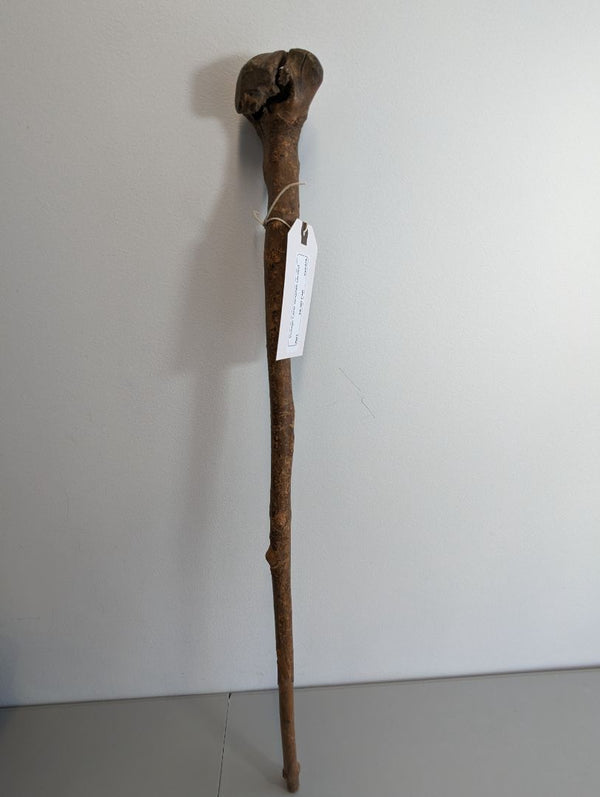 Vintage Cane Wooden Carved