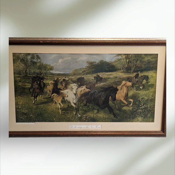 Antique Framed print of " Colt Hunting in the New Forest"