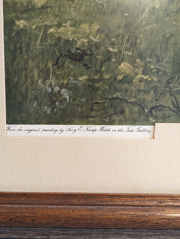Antique Framed print of " Colt Hunting in the New Forest"
