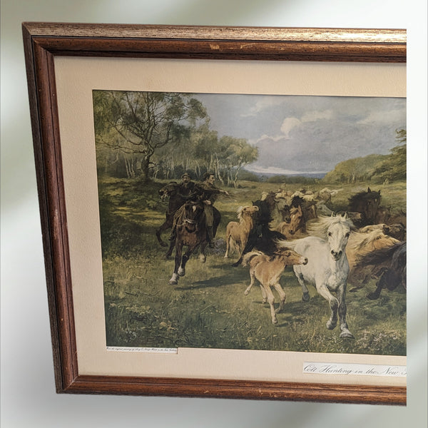 Antique Framed print of " Colt Hunting in the New Forest"