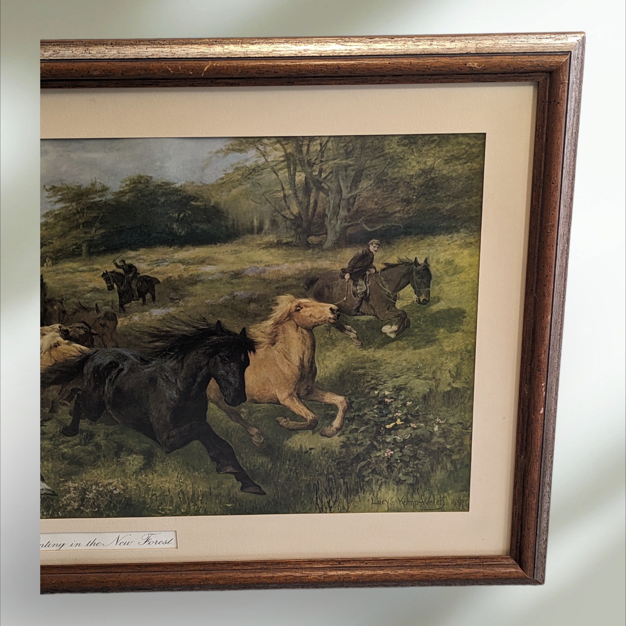 Antique Framed print of 