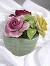 Vintage Staffordshire Bone China