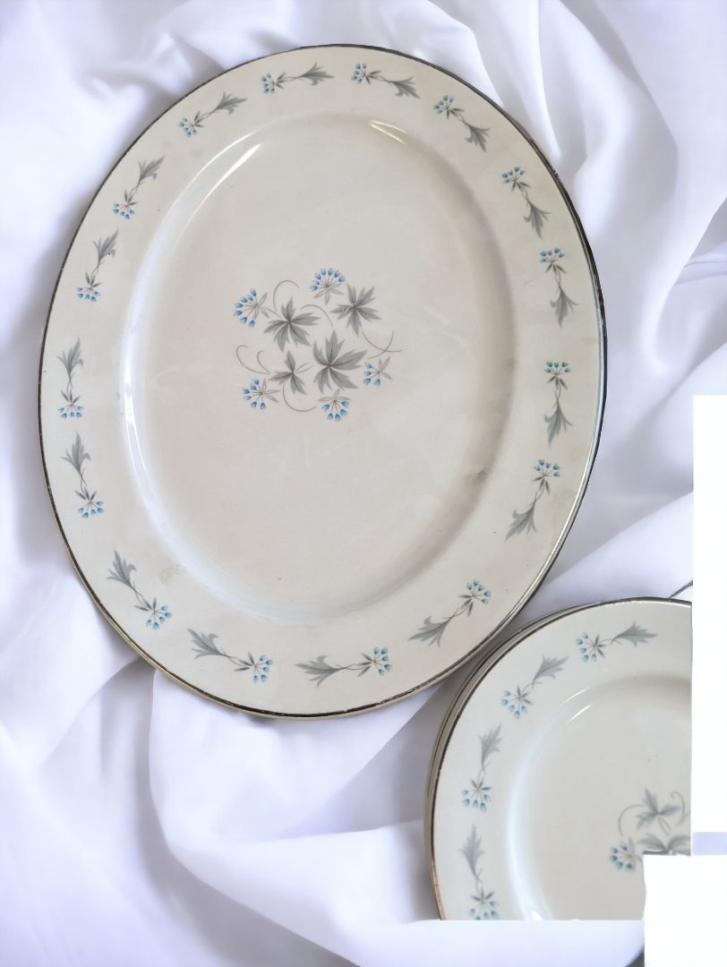 Vintage Johnson Brothers Set