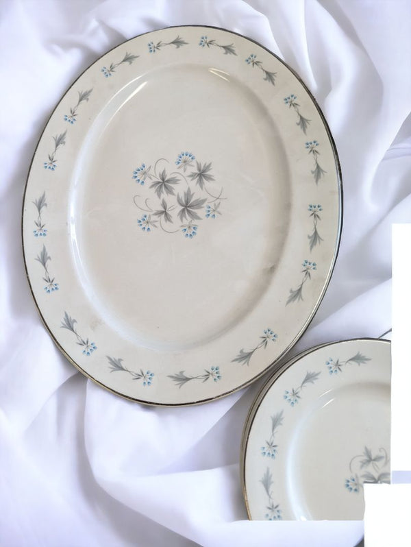 Vintage Johnson Brothers Set