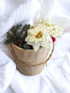 Lot of 8 Decoration Items