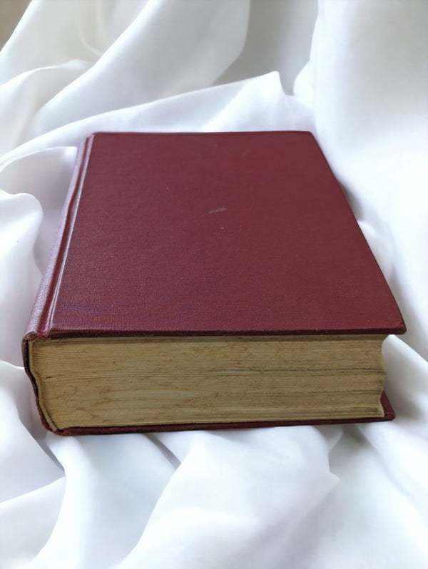 New English Bible