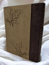 Reader's Digest Condensed Books