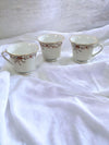 Tea Cup, saucers and Plate set