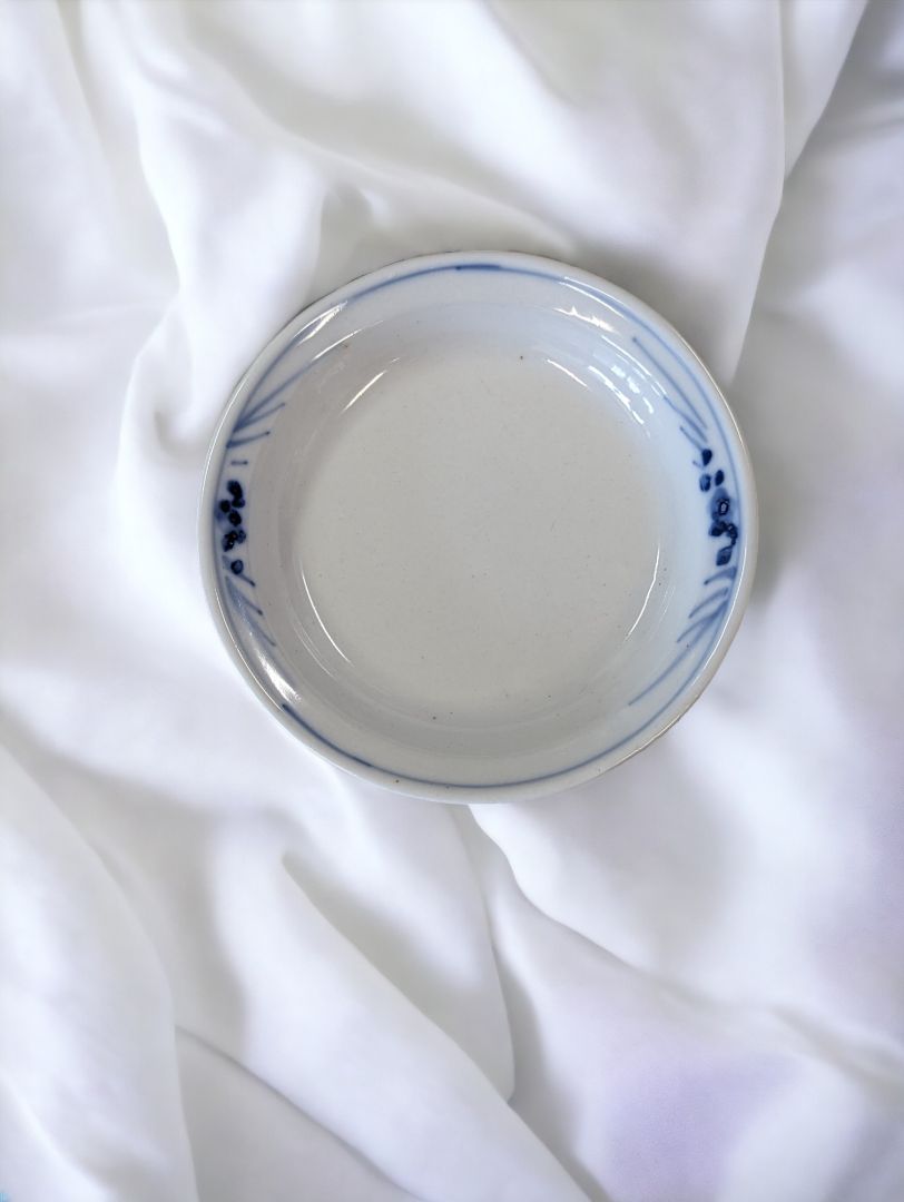 Beautiful Blue & White dish
