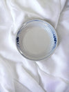 Beautiful Blue & White dish