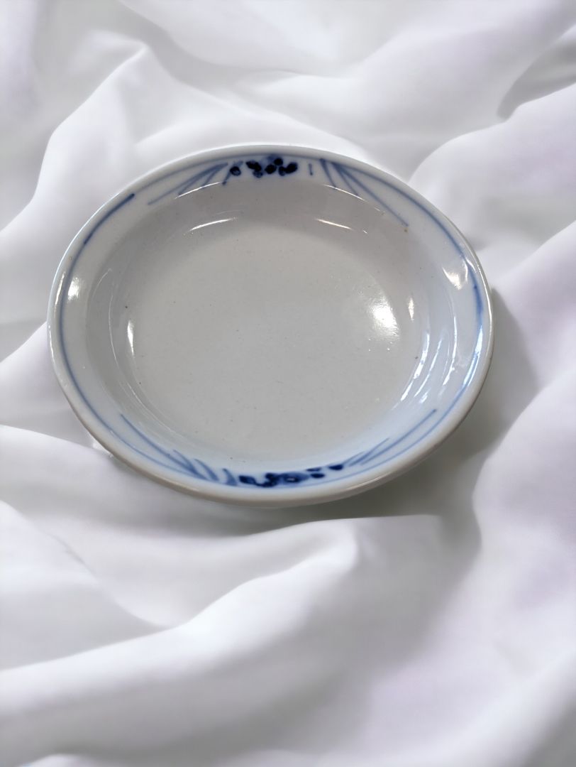 Beautiful Blue & White dish