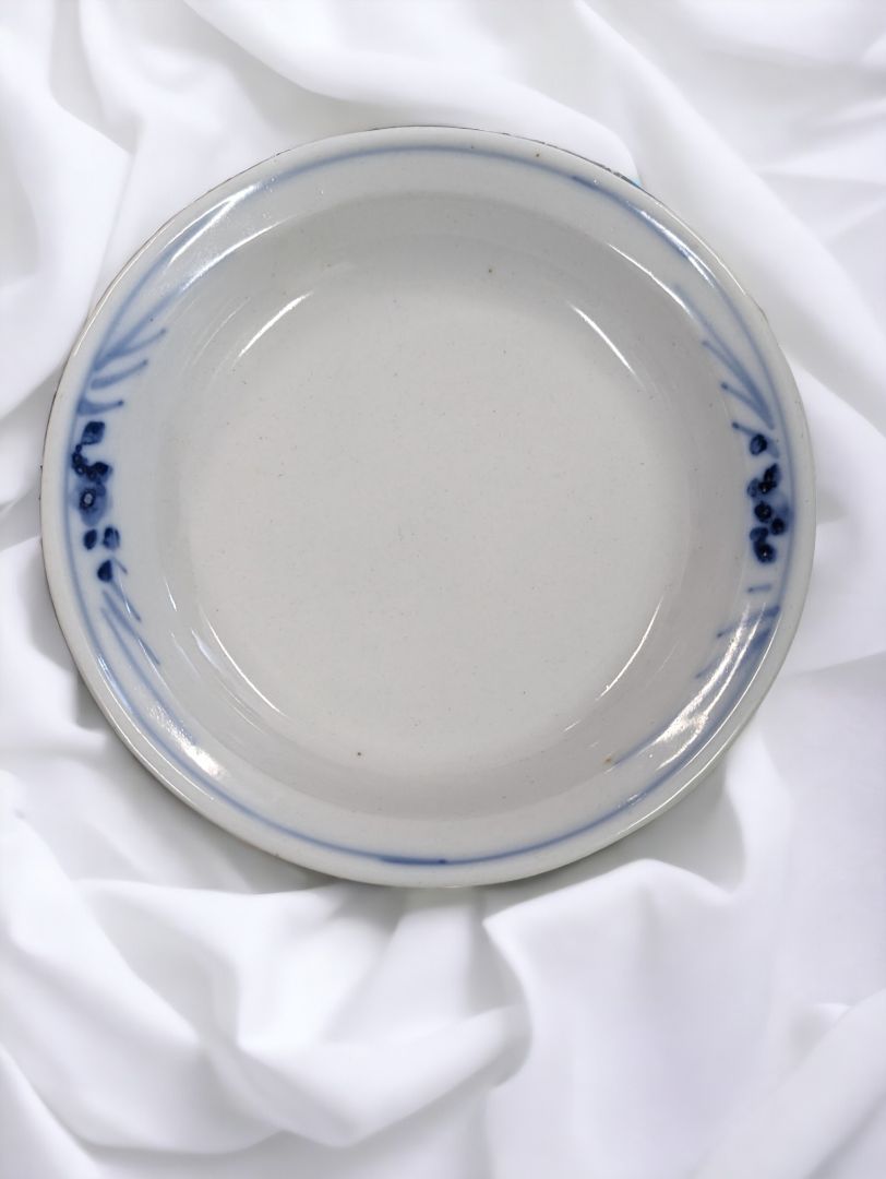 Beautiful Blue & White dish