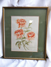 Framed Botanical Carnations Watercolour Artwork – Signed 1987