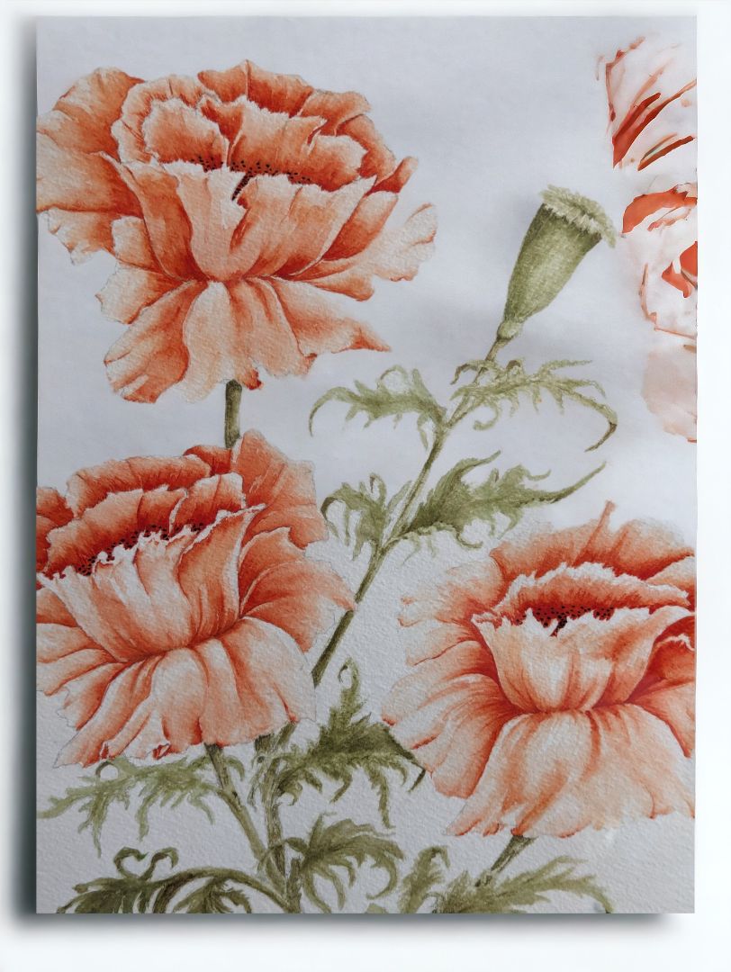 Framed Botanical Carnations Watercolour Artwork – Signed 1987