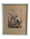 Vintage Art Birds of Great Britain