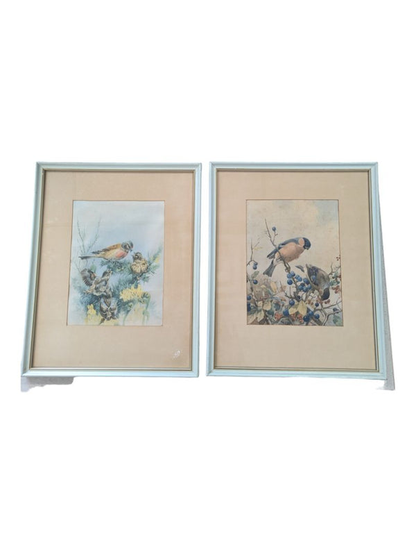 Vintage Art Birds of Great Britain