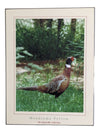 Artwork-The Haysville Collection