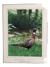 Artwork-The Haysville Collection