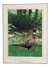 Artwork-The Haysville Collection