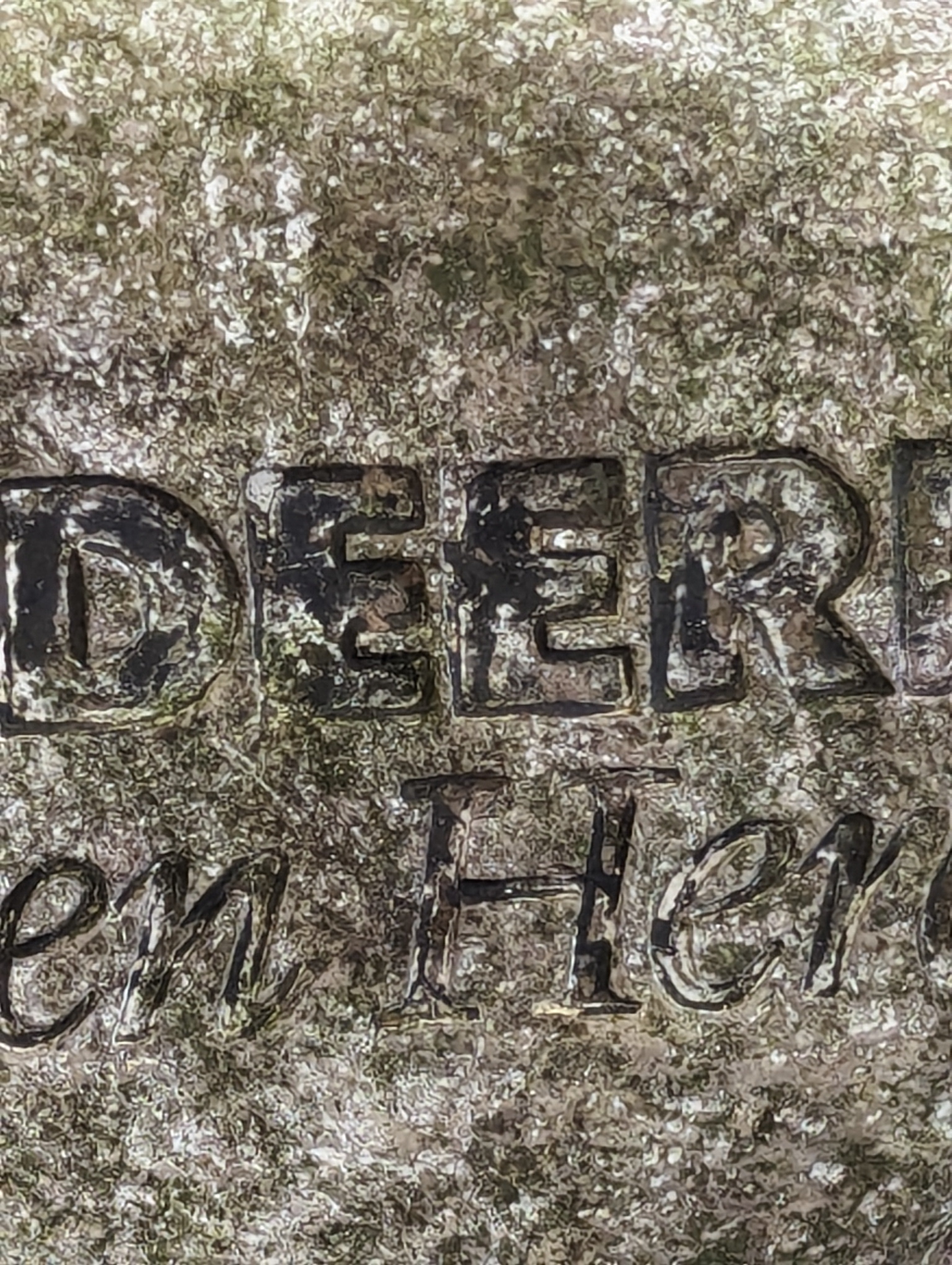 John Deere Lawn Stone