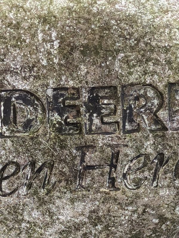 John Deere Lawn Stone