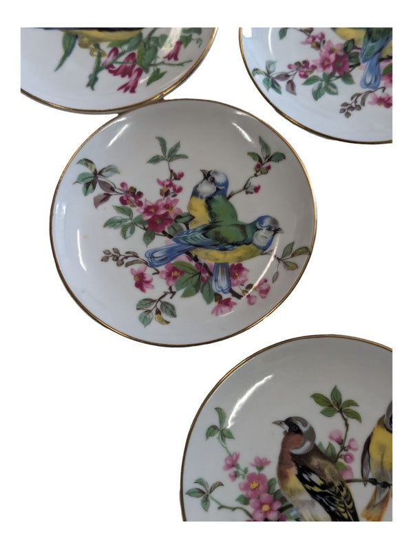6 Vintage Mini Bird Plates with Botanicals Gold Rimmed 4" Diameter