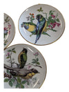 6 Vintage Mini Bird Plates with Botanicals Gold Rimmed 4" Diameter