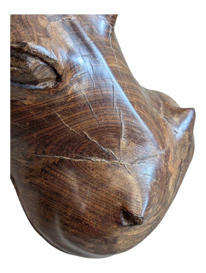 Solid Teak Carved Hippopotamus Sculpture