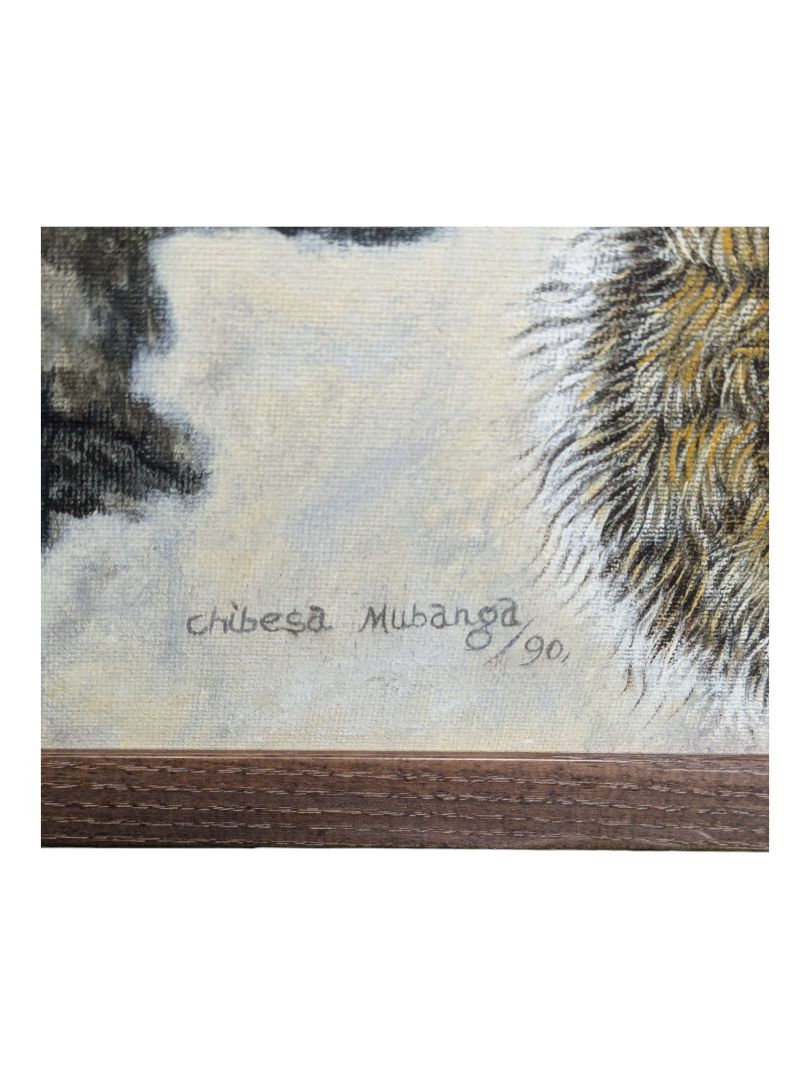 Canvas COA mounted GRAY SQUIRREL art