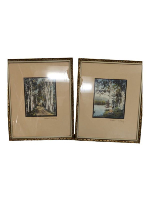 (SET OF TWO) Vintage Signed WALLACE NUTTING Through the Birch Trees Hand Tinted Print Framed