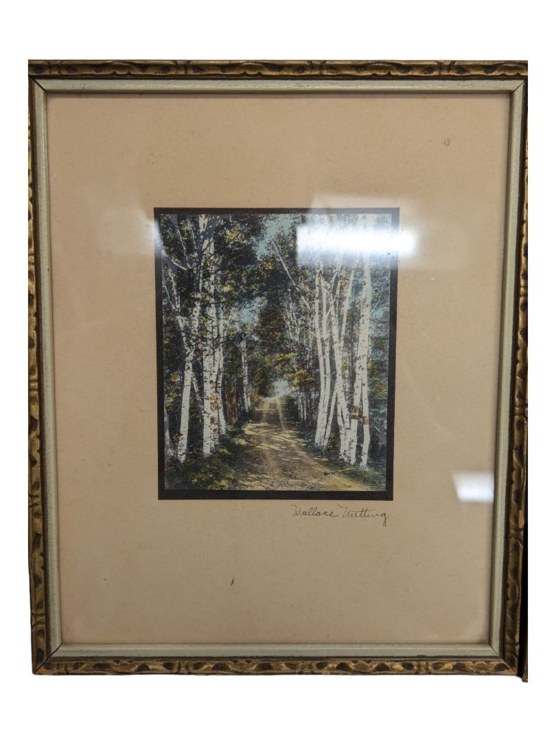 (SET OF TWO) Vintage Signed WALLACE NUTTING Through the Birch Trees Hand Tinted Print Framed