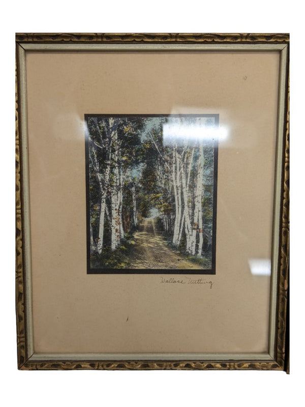 (SET OF TWO) Vintage Signed WALLACE NUTTING Through the Birch Trees Hand Tinted Print Framed