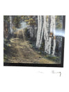 (SET OF TWO) Vintage Signed WALLACE NUTTING Through the Birch Trees Hand Tinted Print Framed