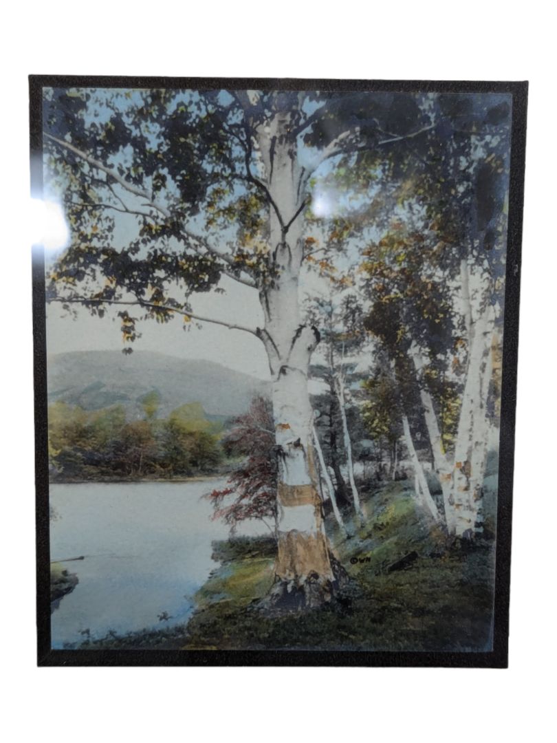 (SET OF TWO) Vintage Signed WALLACE NUTTING Through the Birch Trees Hand Tinted Print Framed
