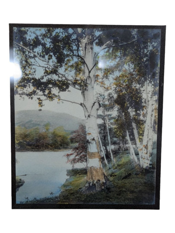 (SET OF TWO) Vintage Signed WALLACE NUTTING Through the Birch Trees Hand Tinted Print Framed