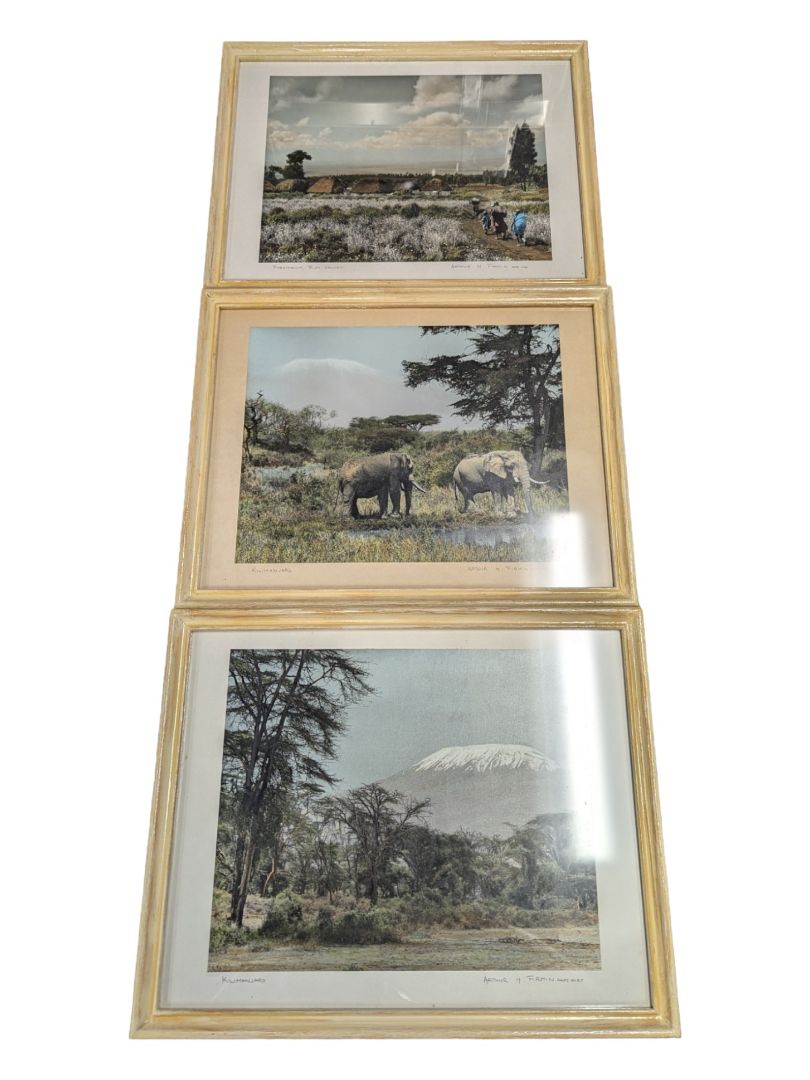 Set of 3- Arthur H Firmin-Photography  Art